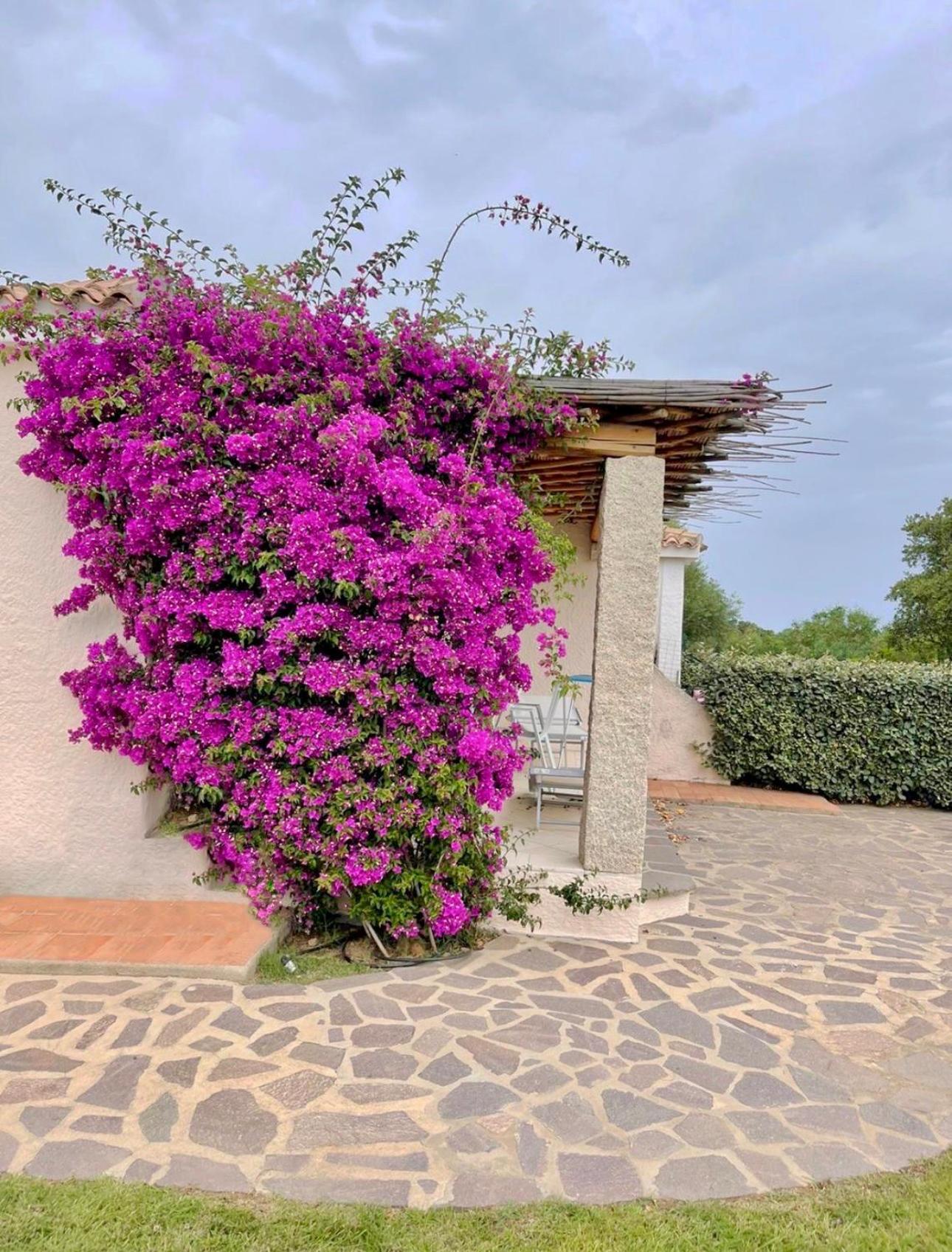 Residence Capraggia Cannigione Exteriér fotografie